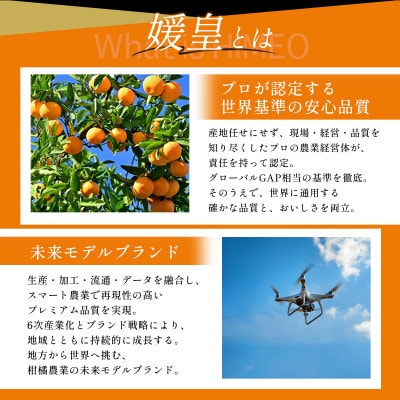 【先行受付】最高級ブランド 媛皇 愛媛みかん 5kg 西宇和地区八幡浜市産【E25-399】