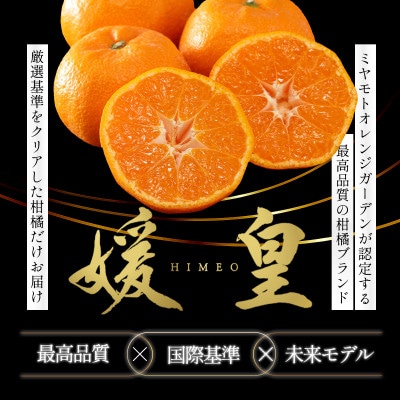 【先行受付】最高級ブランド 媛皇 愛媛みかん 3kg 西宇和地区八幡浜市産【E25-400】