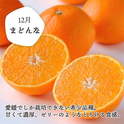 【発送月固定定期便】愛媛の人気2品種を堪能!みかんまどんな食べ比べ(訳あり)全2回【E25-119】