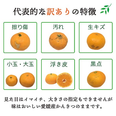 【発送月固定定期便】愛媛の人気2品種を堪能!みかんまどんな食べ比べ(訳あり)全2回【E25-119】