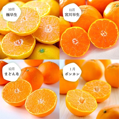 【発送月固定定期便】愛媛の人気品種を厳選! みかん定期便(秀品)全8回【H25-116】