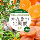 【発送月固定定期便】愛媛の人気品種を厳選! 旬のかんきつ定期便(訳)全6回【H25-121】