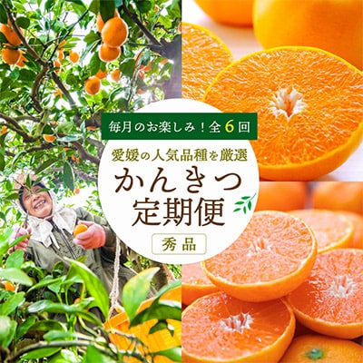 【発送月固定定期便】愛媛の人気品種を厳選! 旬のかんきつ定期便(秀品)全6回【H25-120】