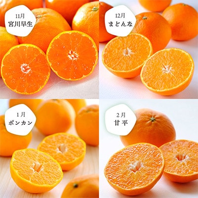 【発送月固定定期便】愛媛の人気品種を厳選! 旬のかんきつ定期便(秀品)全6回【H25-120】