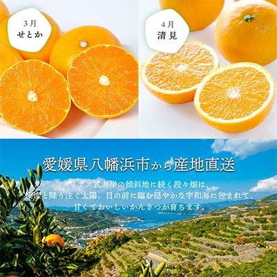 【発送月固定定期便】愛媛の人気品種を厳選! 旬のかんきつ定期便(秀品)全6回【H25-120】