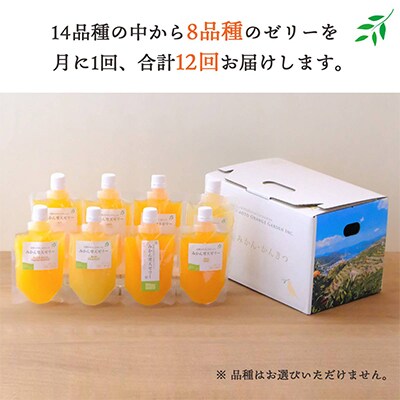 【毎月定期便】みかん寒天ゼリー定期便～毎月8品種8本 全12回【H25-109】