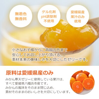 【毎月定期便】みかん寒天ゼリー定期便～毎月10品種10本 全12回【H25-146】