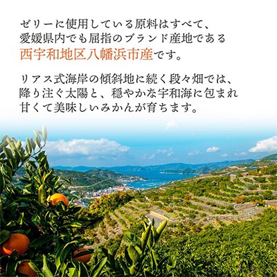 【発送月固定定期便】みかん寒天ゼリー定期便～毎月1品種10本 全12回【H25-147】