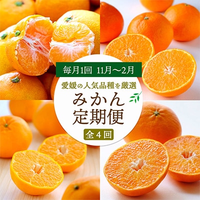 【発送月固定定期便】愛媛の人気品種!かんきつ定期便 11月～2月全4回【H25-154】