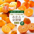【発送月固定定期便】愛媛の人気品種!かんきつ定期便 11月～2月(訳あり)全4回【H25-155】