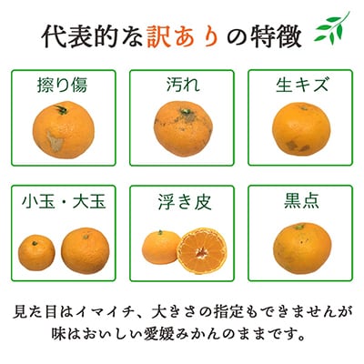 【発送月固定定期便】愛媛の人気品種!かんきつ定期便 11月～2月(訳あり)全4回【H25-155】