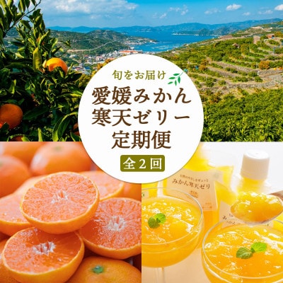 【発送月固定定期便】愛媛みかん&みかん寒天ゼリー ミヤモトオレンジガーデン【E25-159】全2回