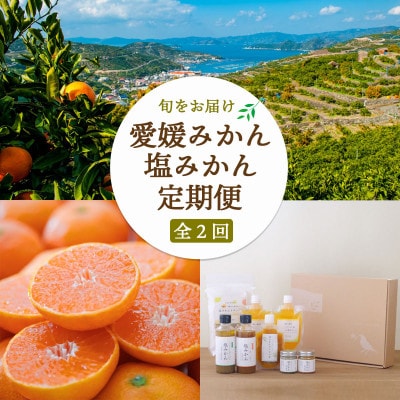 【発送月固定定期便】愛媛みかん&新しい調味料 塩みかんセット【F25-162】全2回