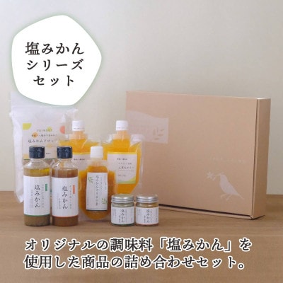 【発送月固定定期便】愛媛みかん&新しい調味料 塩みかんセット【F25-162】全2回