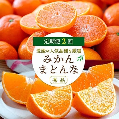【発送月固定定期便】みかんまどんな食べ比ベ(3kg&2.5kg)【F25-198】全2回