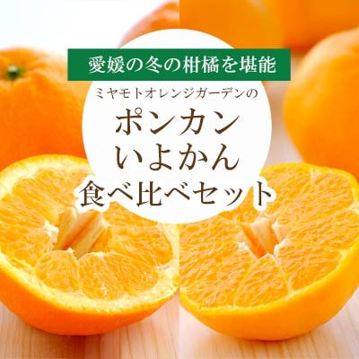 愛媛の新春柑橘を食べ比べ! ポンカン・いよかんセット便【訳あり】【C25-194】【複数個口で配送】