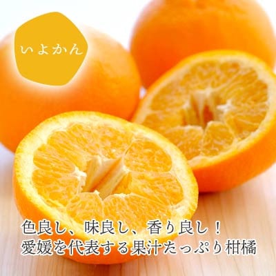 愛媛の新春柑橘を食べ比べ! ポンカン・いよかんセット便【訳あり】【C25-194】【複数個口で配送】