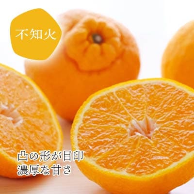 愛媛の人気2品種をセットに!せとか・不知火 食べ比べ【訳あり】【D25-195】【複数個口で配送】