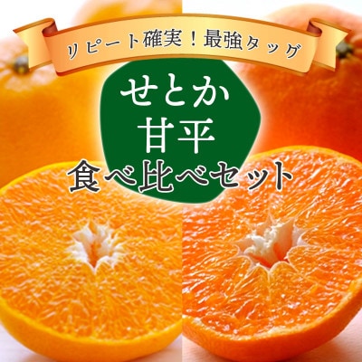 愛媛の人気柑橘をセットに!せとか・甘平 食べ比べセット【訳あり】【F25-196】【複数個口で配送】