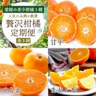 【発送月固定定期便】愛媛の高級柑橘3品種!まどんな・甘平・せとか【訳あり】【H25-199】全3回