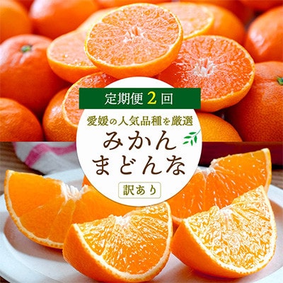 【発送月固定定期便】愛媛の人気2品種を堪能!みかんまどんな食べ比べ【訳あり】【F25-200】全2回