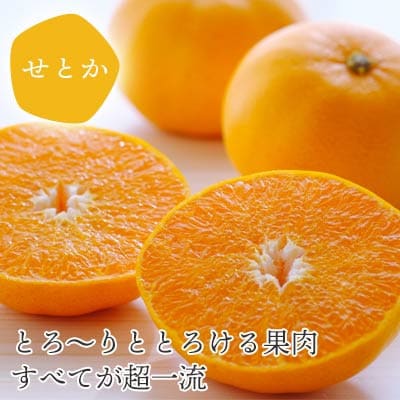 【発送月固定定期便】愛媛の人気2品種を堪能!せとか・甘平 食べ比べ【訳あり】【F25-201】全2回