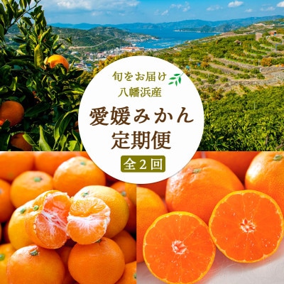 【発送月固定定期便】愛媛みかん5kg(秀)×愛媛みかん小玉6kg(訳)【F25-250】全2回