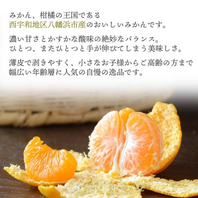 【発送月固定定期便】愛媛みかん大玉8kg(訳)×まどんな3.5kg(訳)【F25-256】全2回