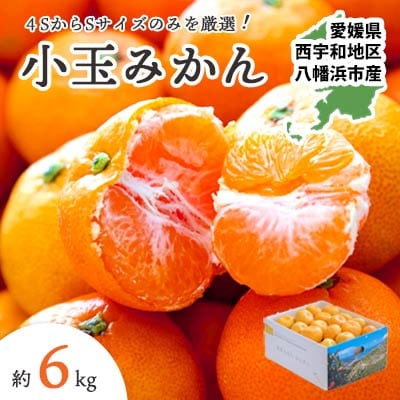 【発送月固定定期便】愛媛みかん 小玉6kg×甘平3kg 定期便【訳あり】【G25-261】全2回