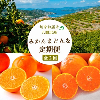 【発送月固定定期便】愛媛みかん7kg(訳)×まどんな3.5kg(訳)【G25-263】全2回