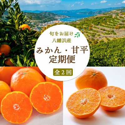 【発送月固定定期便】愛媛みかん7kg(訳)×甘平3kg【H25-265】全2回