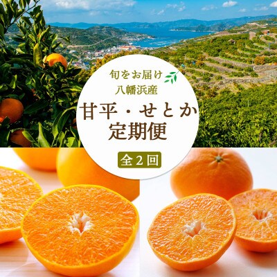 【発送月固定定期便】甘平(訳)3kg×せとか(秀)2kg 定期便【H25-268】全2回