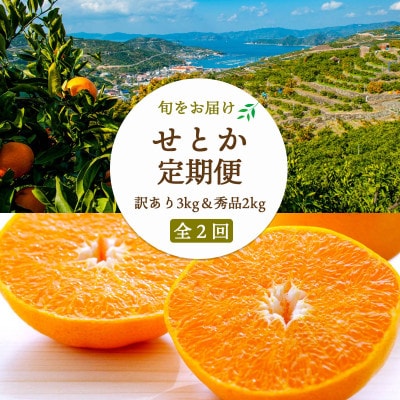 【2週間毎定期便】【約2週間毎】せとか2kg(秀)×せとか3kg(訳)【H25-275】全2回
