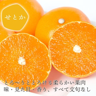 【2週間毎定期便】【約2週間毎】せとか2kg(秀)×せとか3kg(訳)【H25-275】全2回