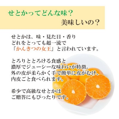 【2週間毎定期便】【約2週間毎】せとか2kg(秀)×せとか3kg(訳)【H25-275】全2回