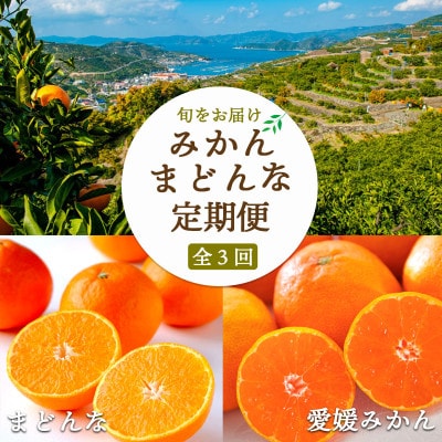 【2週間毎定期便】小玉みかん6kg×愛媛みかん7kg×まどんな3.5kg【H25-288】全3回