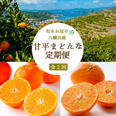 【発送月固定定期便】【愛媛人気高級品種】まどんな3.5kg(訳)×甘平3kg【H25-276】全2回