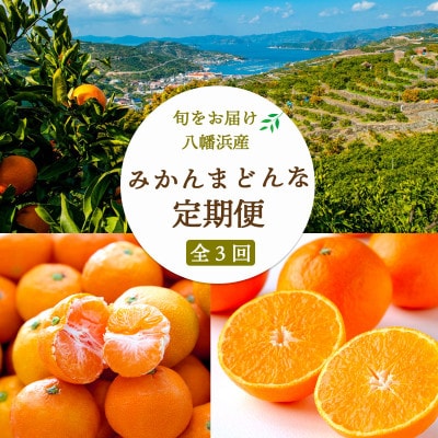 【2週間毎定期便】愛媛みかん5kg×小玉みかん6kg×まどんな3.5kg 【H25-284】全3回