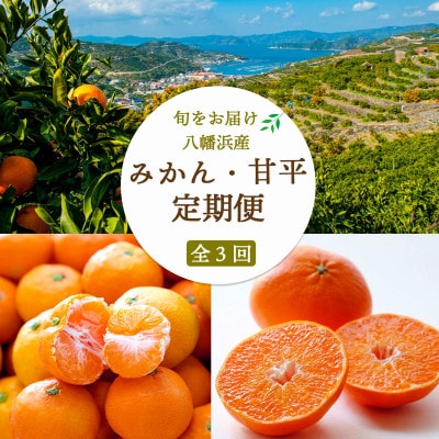 【発送月固定定期便】【訳あり】愛媛みかん7kg×大玉8kg×甘平3kg 【H25-278】全3回