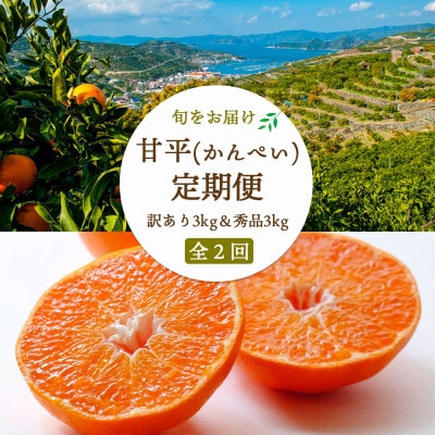 y2TԖցzyQ͔|zÕ3kg()×Õ3kg(G)yH25-270zS2