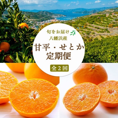 【発送月固定定期便】【愛媛限定栽培】甘平3kg(秀)×せとか3kg(訳)【H25-272】全2回