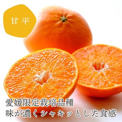 【発送月固定定期便】【愛媛限定栽培】甘平3kg(秀)×せとか3kg(訳)【H25-272】全2回