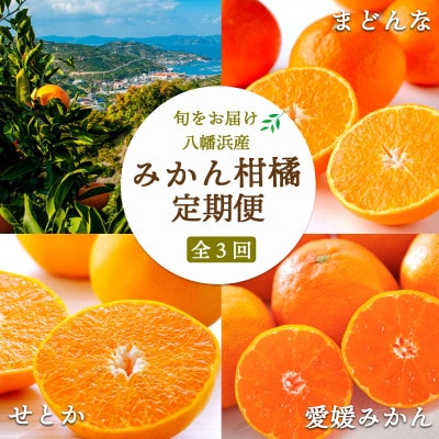 【発送月固定定期便】愛媛みかん大玉8kg×まどんな2.5kg×せとか2kg【H25-281】全3回