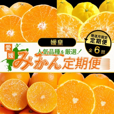 【発送月固定定期便】【媛皇】八幡浜産 高級柑橘定期便|旬のみかんをお届け【G25-395】全6回