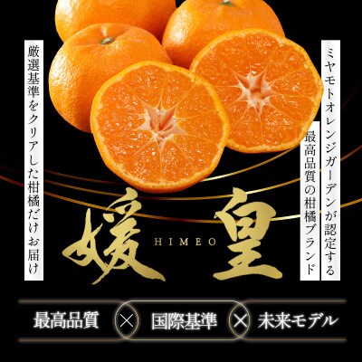 【発送月固定定期便】【媛皇】八幡浜産 高級柑橘定期便|旬のみかんをお届け【G25-395】全6回