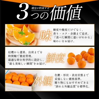 【発送月固定定期便】【媛皇】八幡浜産 高級柑橘定期便|旬のみかんをお届け【G25-396】全4回