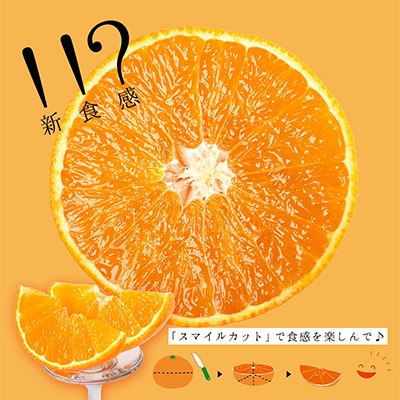 コウ果樹園「華まどんな」3kg【D33-22】