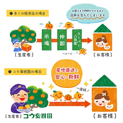 コウ果樹園「華まどんな」3kg【D33-22】