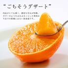 コウ果樹園の「厳選　華まどんな」3kg【E33-8】