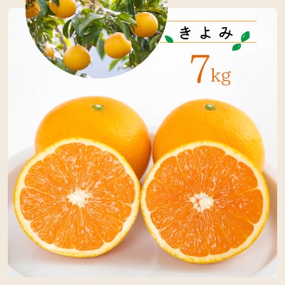 コウ果樹園の「きよみ」大ボリューム7kg【C33-19】